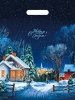 30х40х30 мкмПВД  проруб. " Снежная дорожка "  (1/50х20=1000)  Новосибирск