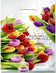 31х40х60 мкм ПВД  проруб. лам.  "Этюд"  (/50х10=500)  Новосибирск